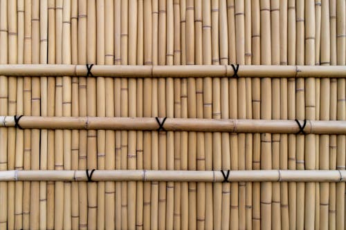 Close up of Bamboo Wall