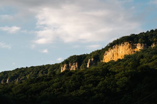 Landscape of Cliffs and Dense Green Forest
