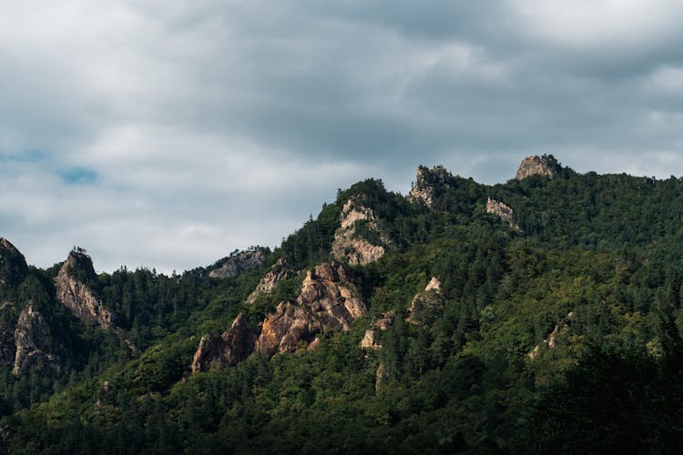 Landscape Of Rocky Mountains Covered In Trees