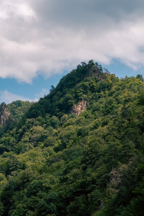 Free Scenic view of forested mountain peak under cloudy skies in Kamennomostsky, Republic of Adygea, Russia. Stock Photo
