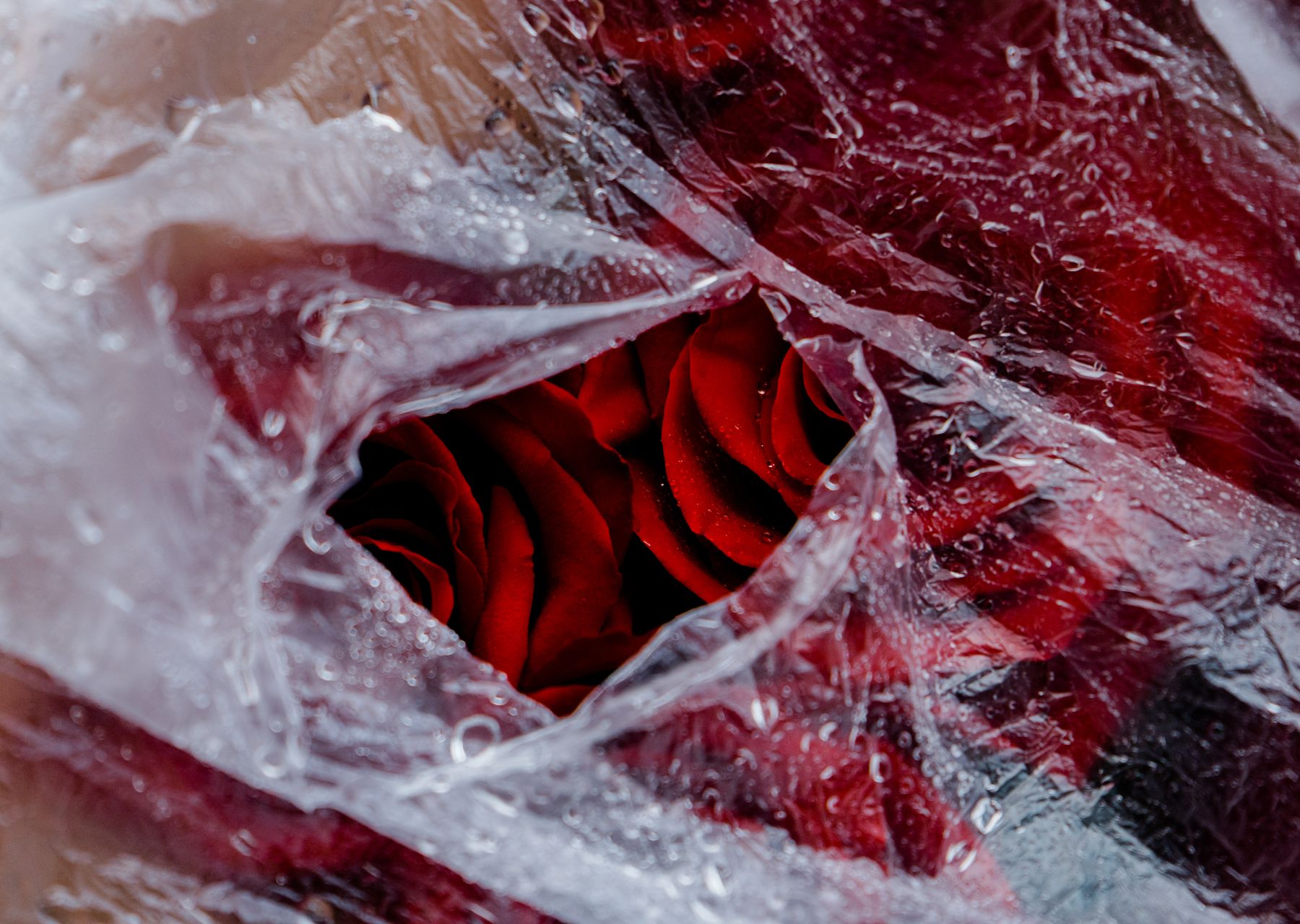 Furniture wrapped and protected for packing services in Swarland