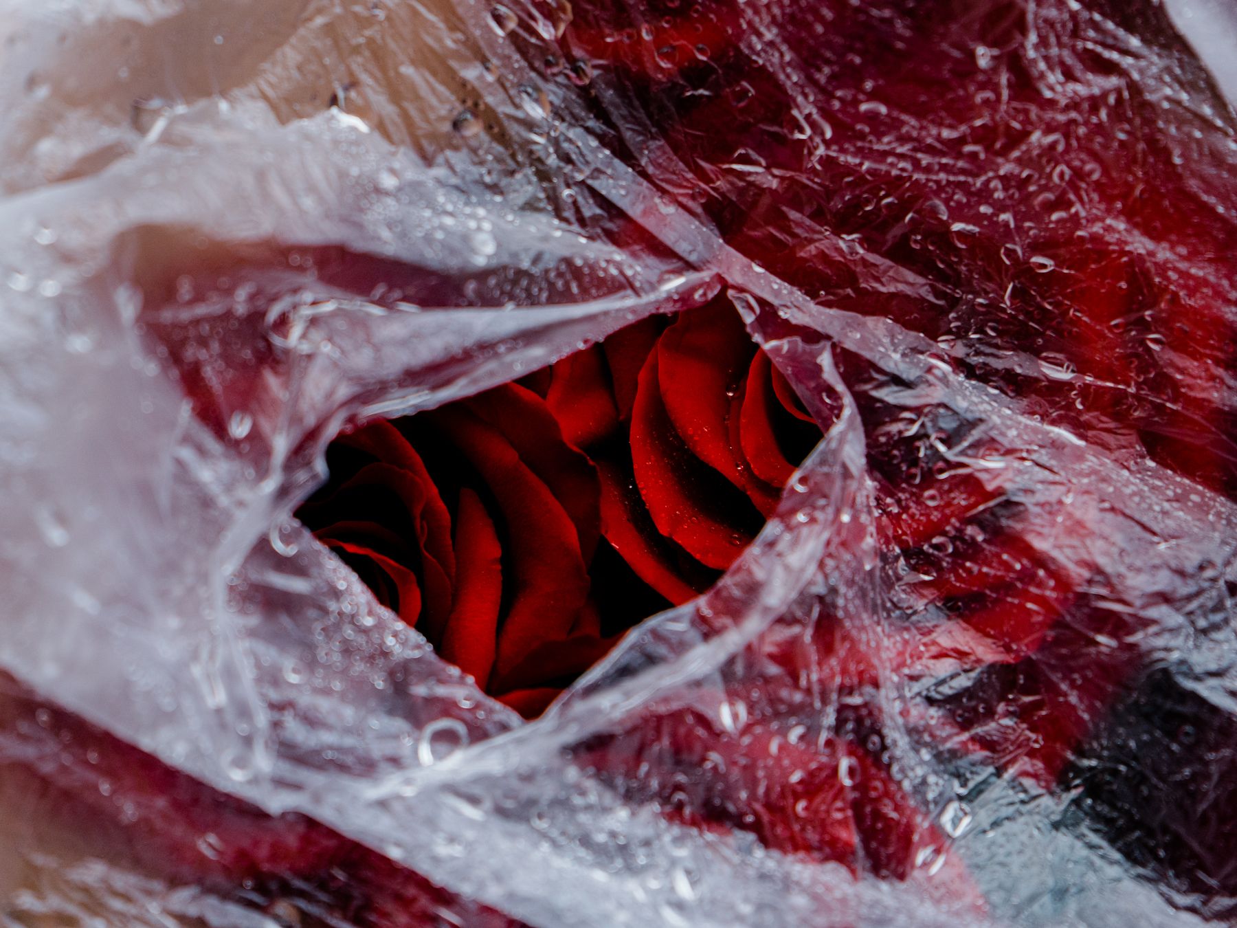 Cirencester — professional packers wrapping and boxing belongings