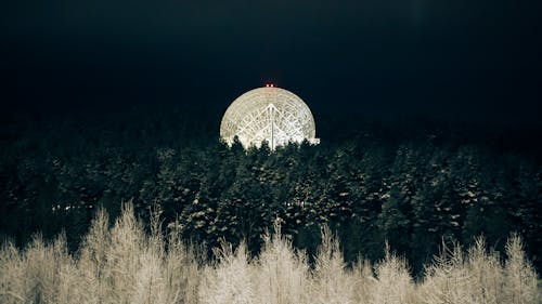 View of an Observatory in a Dense Forest 
