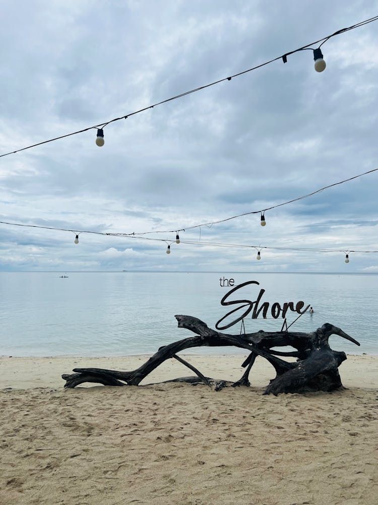 Driftwood With The Sign Of Beach Resort The Shore By La Terraza In Ligao Philippines