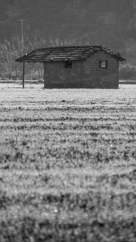 A black and white photo of a rustic brick shed in a rural field in Çeltikçi, Burdur, Türkiye.