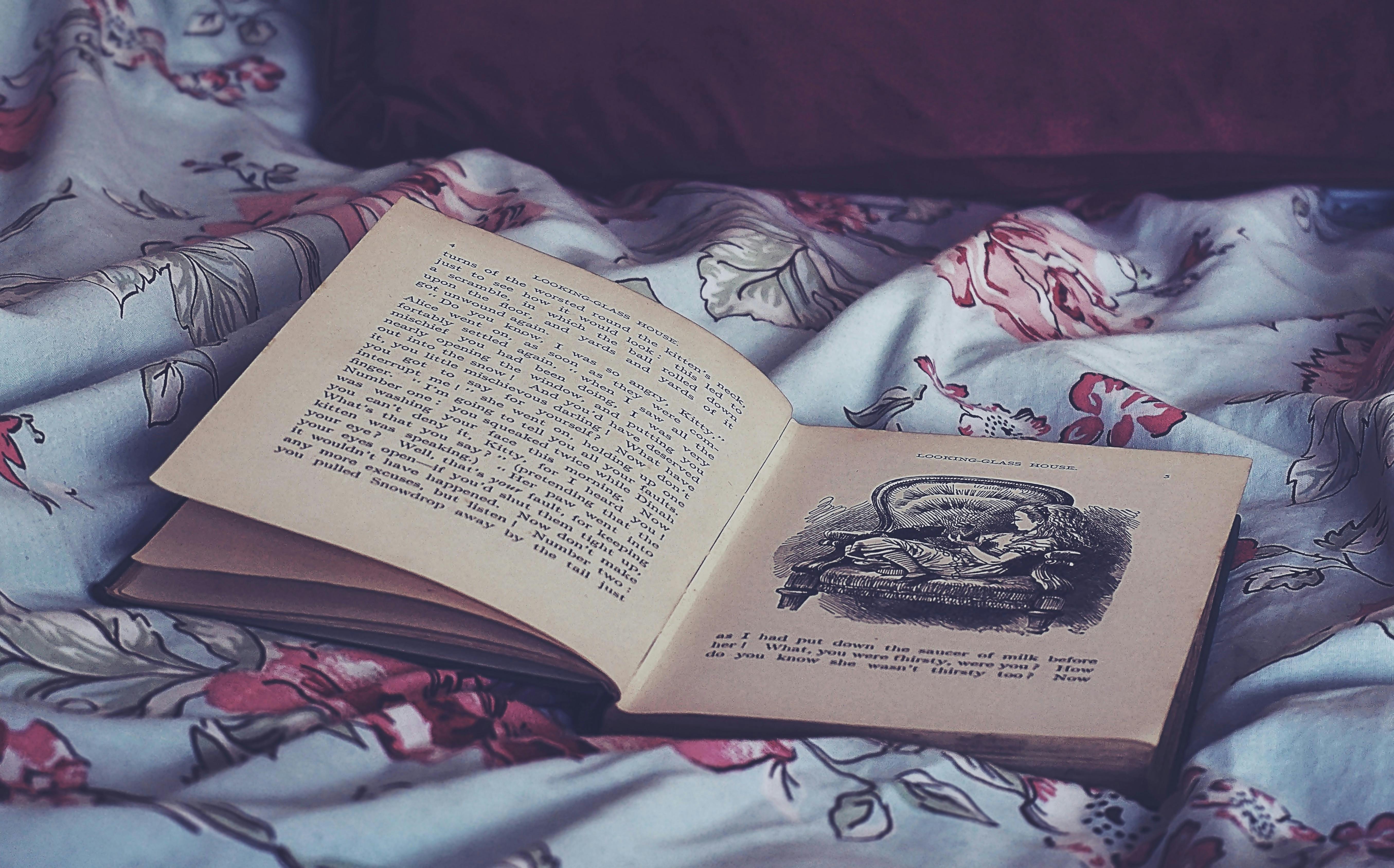 Free stock photo of alice through the looking glass, book pages, books