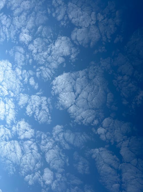 Бесплатное стоковое фото с голубое небо, голубой, городское небо