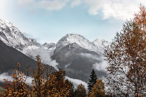 Mountains Covered with Forest and Snowcapped Peaks