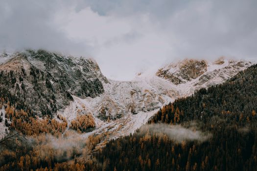A scenic view of snow-covered mountains and a coniferous forest in winter.