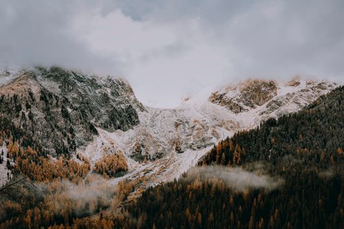 Free A scenic view of snow-covered mountains and a coniferous forest in winter. Stock Photo
