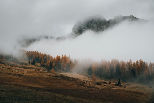 Serene mountain view enveloped in mist, showcasing autumnal forest colors under a cloudy sky.