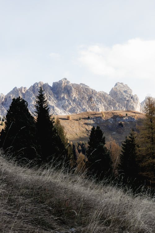 Majestic Mountains Landscape