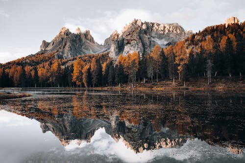 View of a Lake, Autumnal Forest and Mountains in Dolomites, Italy