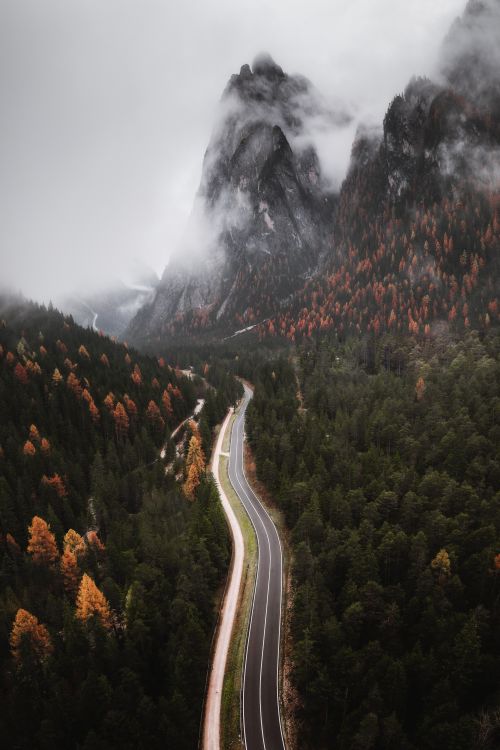 Free View of a winding road through a foggy mountain landscape with vibrant autumn foliage. Stock Photo