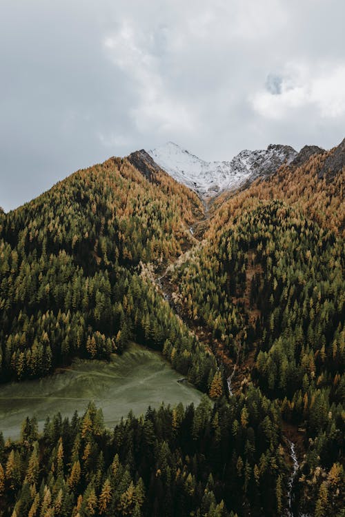 Бесплатное стоковое фото с величественный, вертикальный выстрел, горы