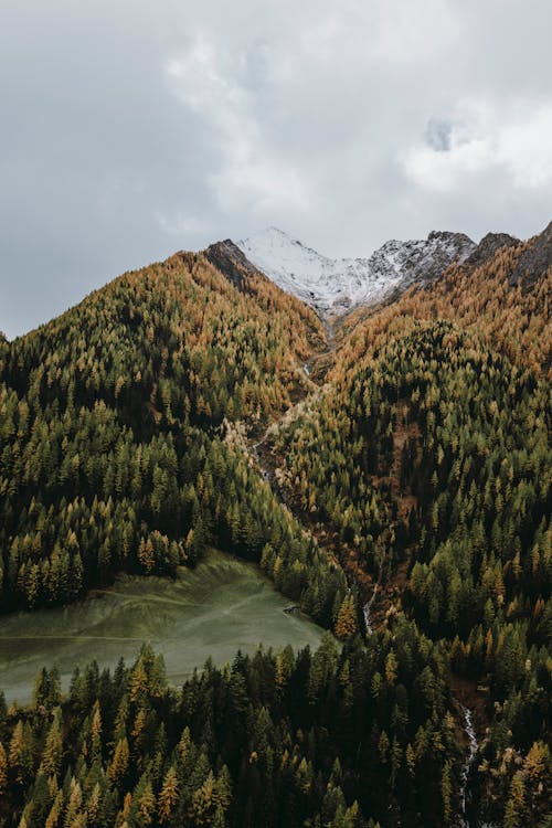 Majestic Mountains Landscape