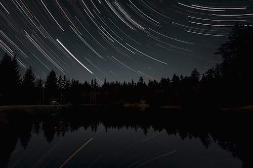 Foto d'estoc gratuïta de arbres, astronomia, cel estrellat