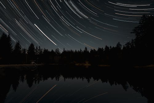 View of a Body of Water and Trees under a Starry Night Sky 