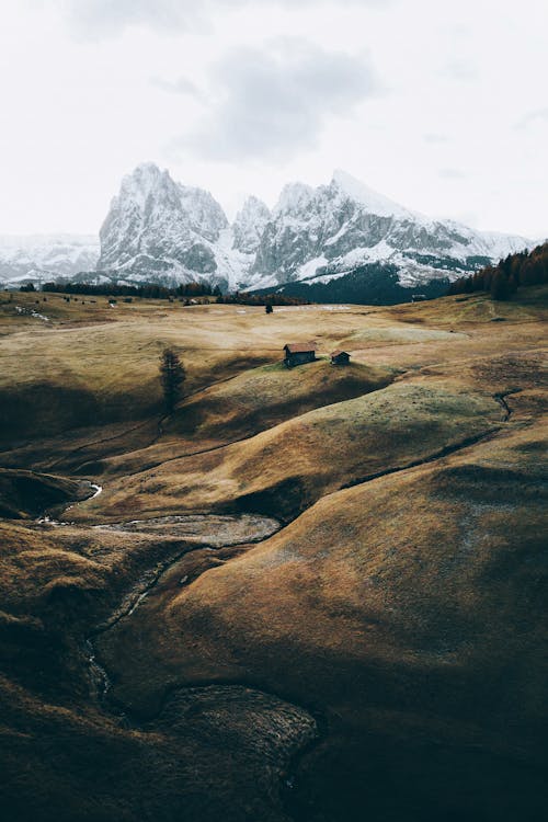 Huts on Green Plains Near Snowy Mountain