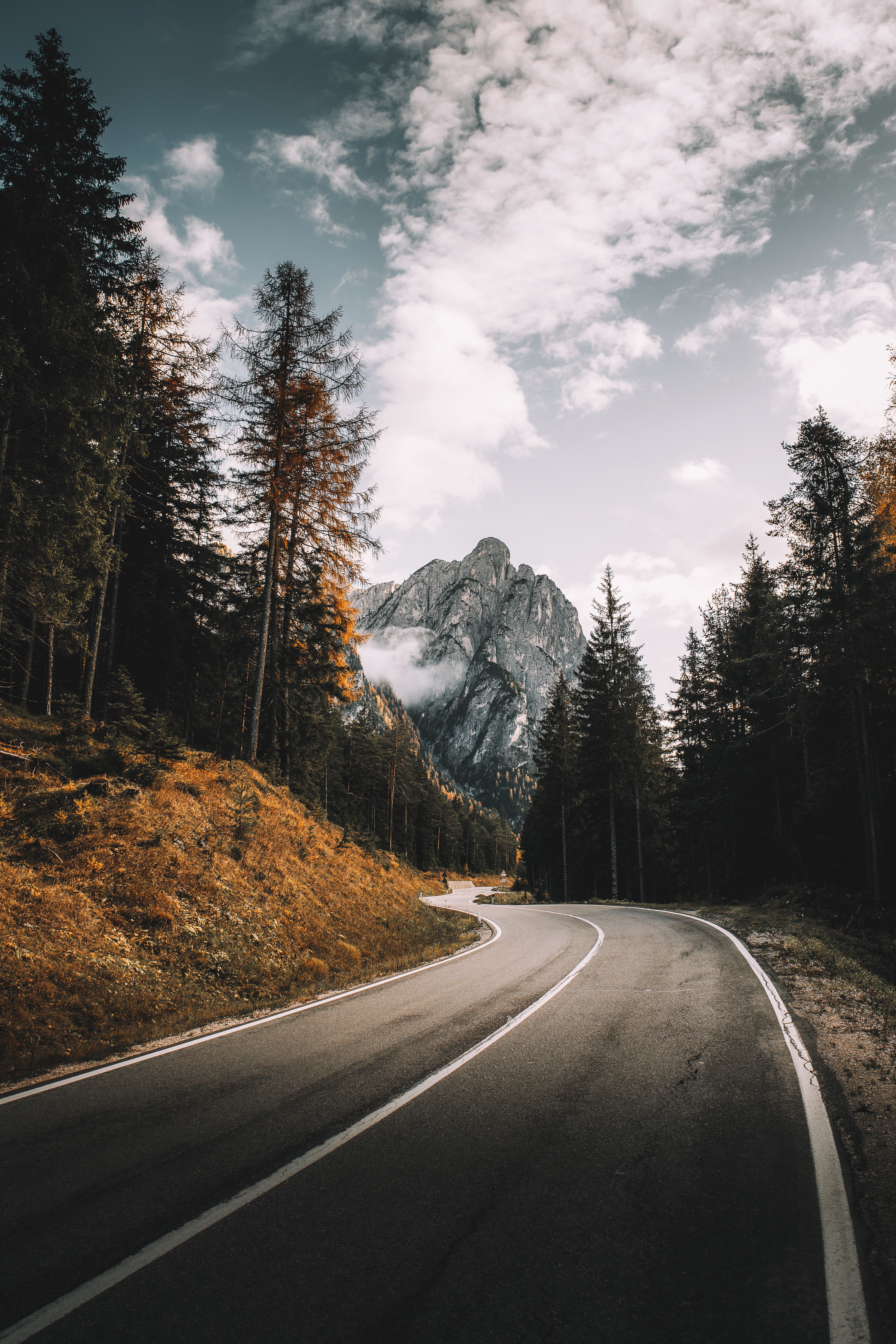 Car driving on asphalt road among mountains covered with lush forests ...