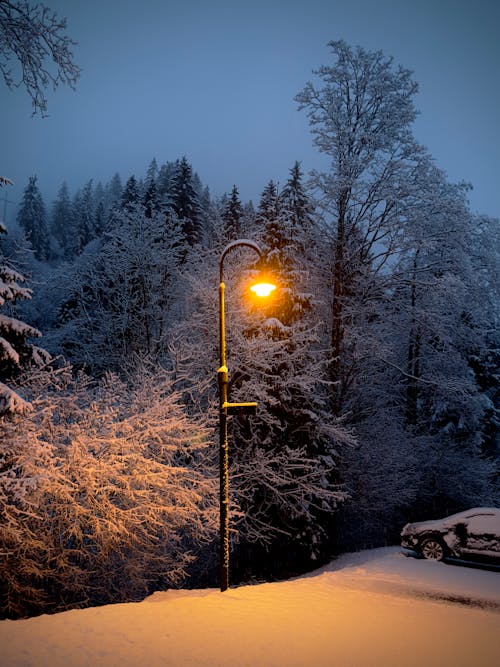 Kostnadsfri bild av ljus, snö, tidig morgon