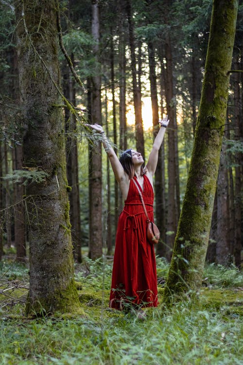 Woman Wearing Dress in Forest