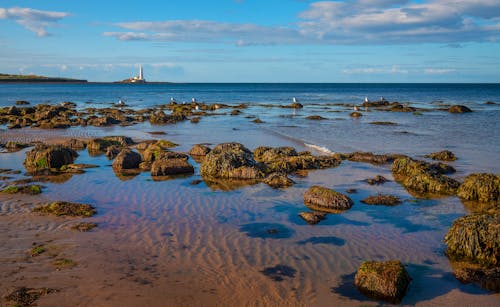 View of the Beach and St Marys Lighthouse, Whitley Bay, England, UK