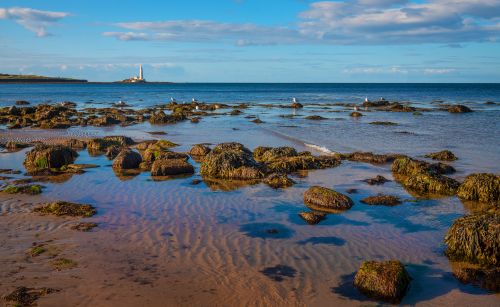 Free A scenic coastal landscape featuring St Mary's Lighthouse, rocky shore, and clear blue skies. Stock Photo
