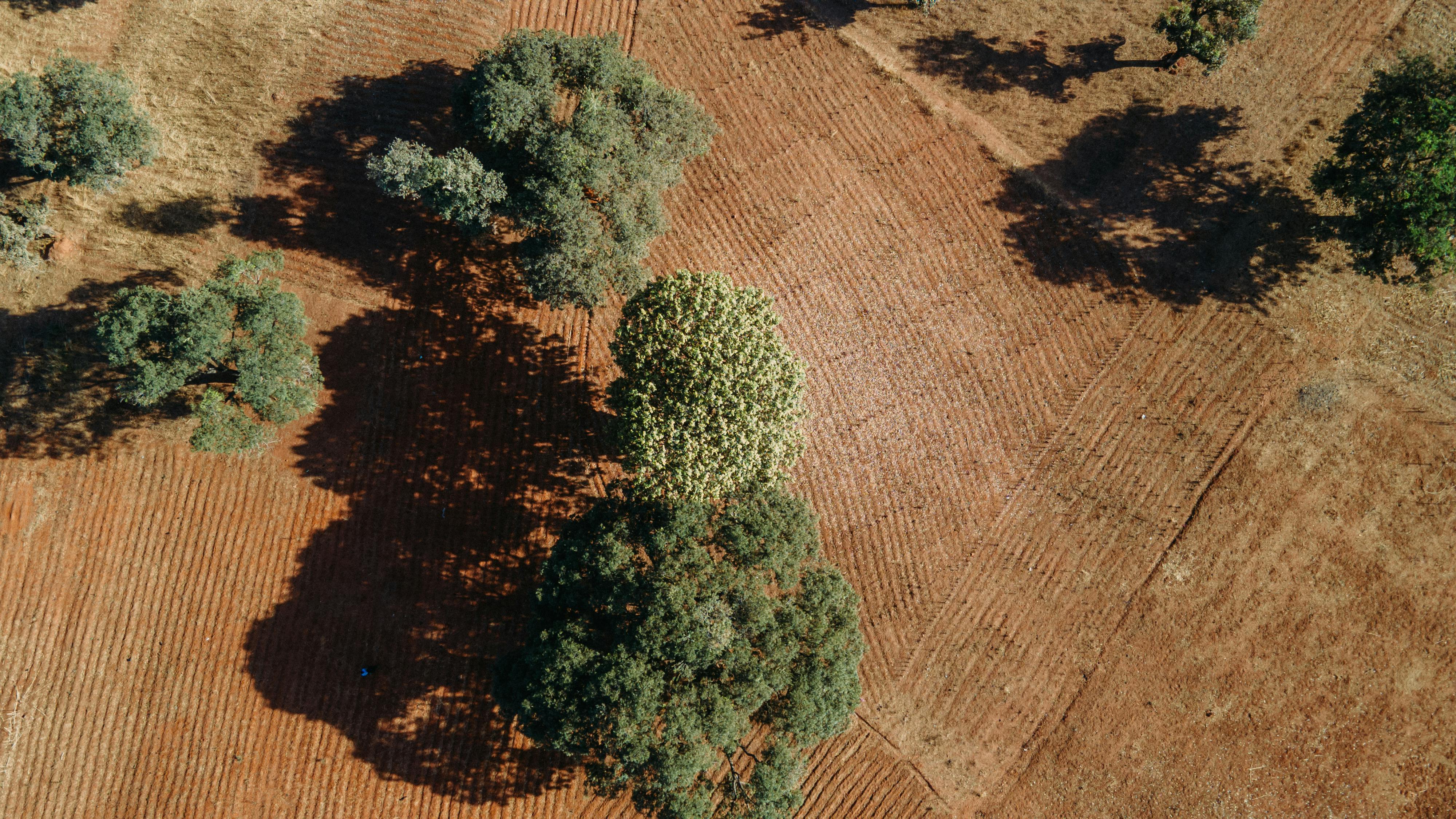 climate resilience drought mitigation — Photo by Sadiq Hashim on Pexels