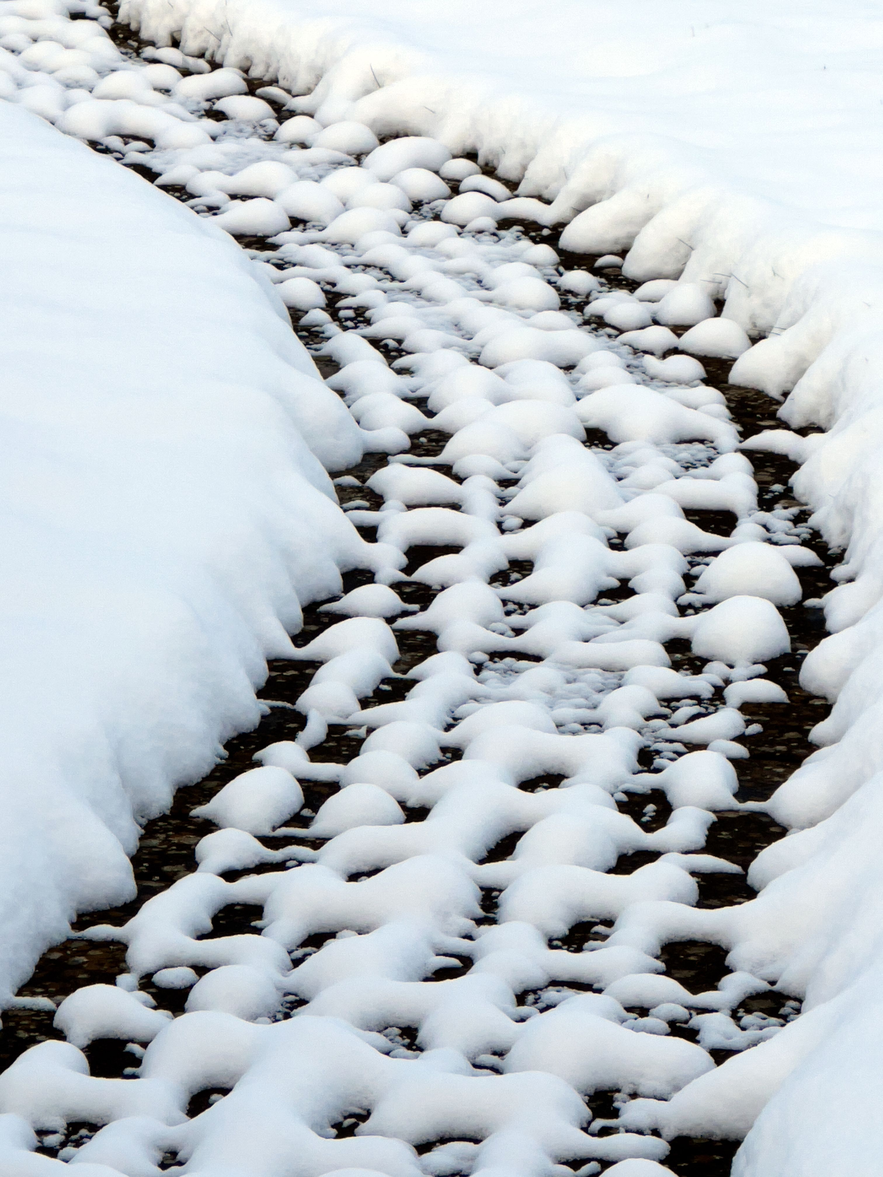 A quiet garden path covered in fresh snow, showcasing winter's serene beauty.