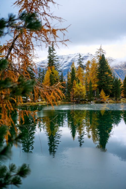 Autumn Trees Reflecting in Calm Lake Surface