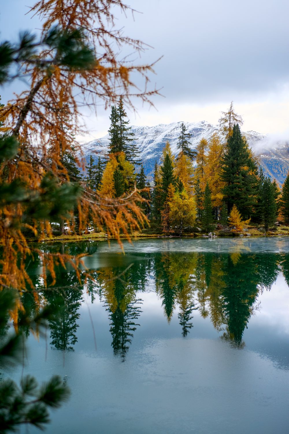 Autumn Trees Reflecting in Calm Lake Surface · Free Stock Photo