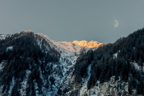 大雪覆蓋, 天性, 景觀 的 免費圖庫相片