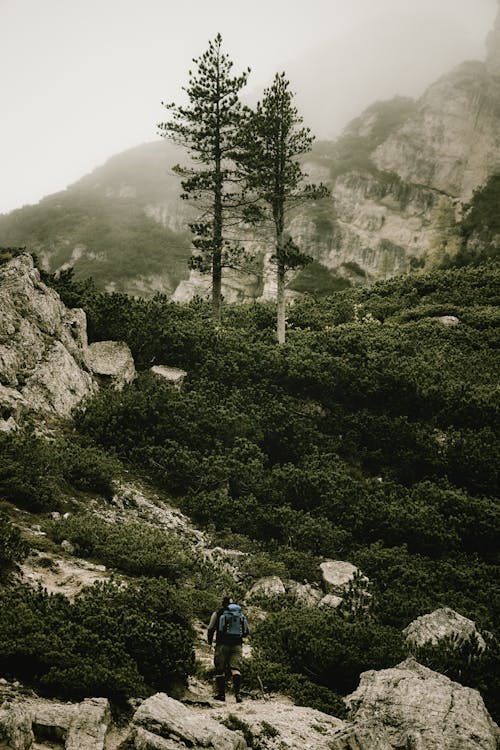 Person Hiking on Rock in Low Macchia Forest on Rocks