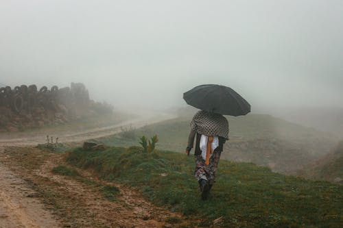 Immagine gratuita di nebbia, paesaggio, percorso