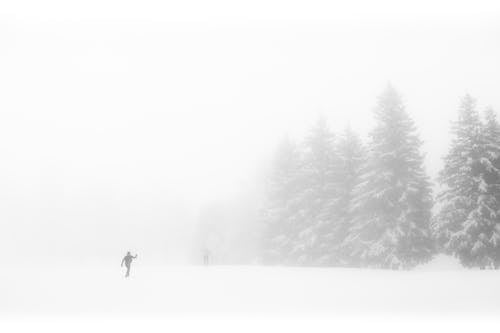 Fog over People Skiing in Snow