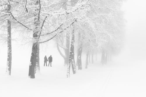 Couple among Trees in Snow