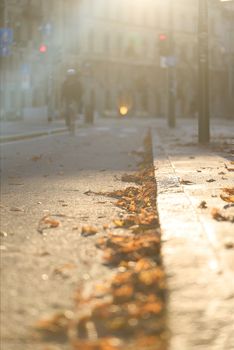 A serene Milan street scene with autumn leaves and warm sunlight casting gentle shadows.