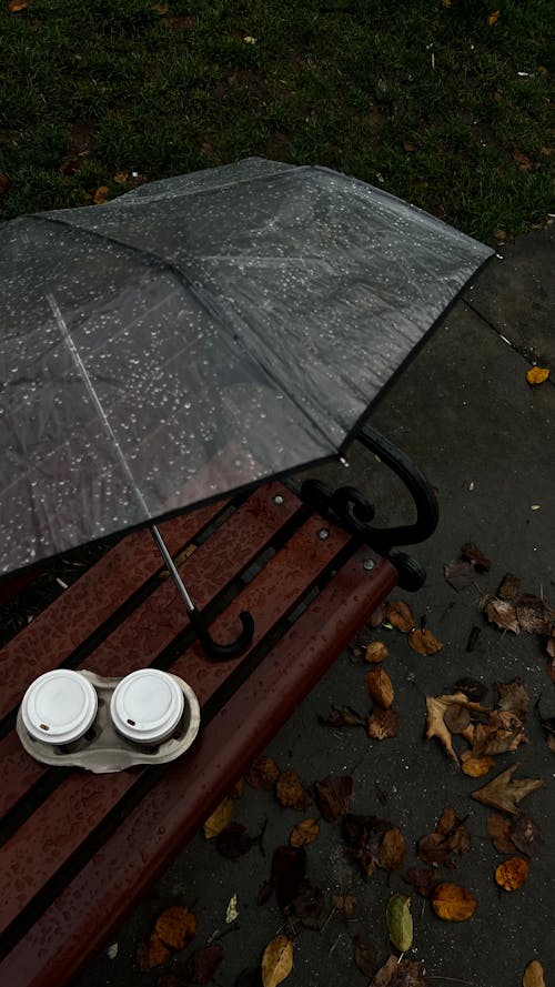 Foto profissional grátis de assento, chuva, clima