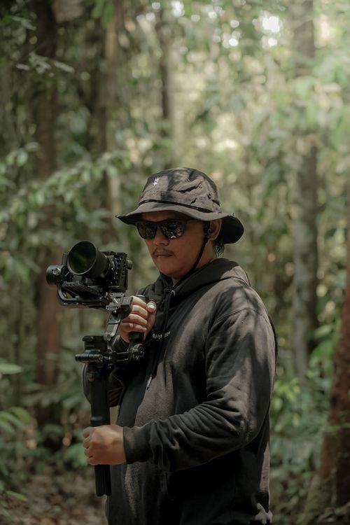 Free Man with camera stabilizer standing in a lush forest, focused on capturing nature. Stock Photo
