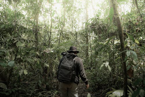 Darmowe zdjęcie z galerii z aparat, dżungla, fotograf