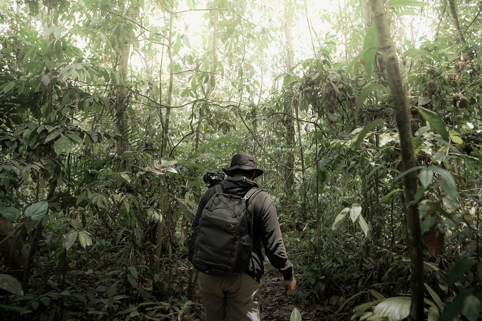 Traveler wearing lightweight, quick-drying clothing in a Panama rainforest setting