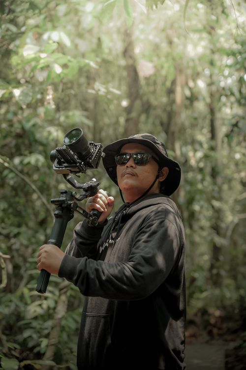 Free A man uses a stabilizer for filming in a dense forest, showcasing modern photography technology. Stock Photo