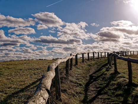 Picturesque rural path lined with rustic wooden fences under a vibrant sky.