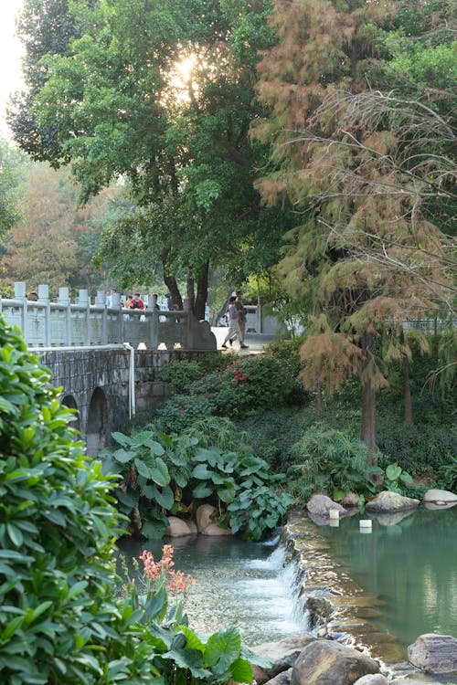 View of a Bridge over the River and a Small Cascade in a Park 