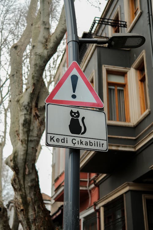 Road Sign with a Picture of a Cat at Kuzguncuk, Istanbul, Turkey 