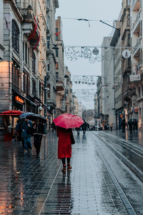 City Street in Rain 