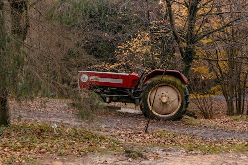 Darmowe zdjęcie z galerii z ciągnik, drzewa, jesień