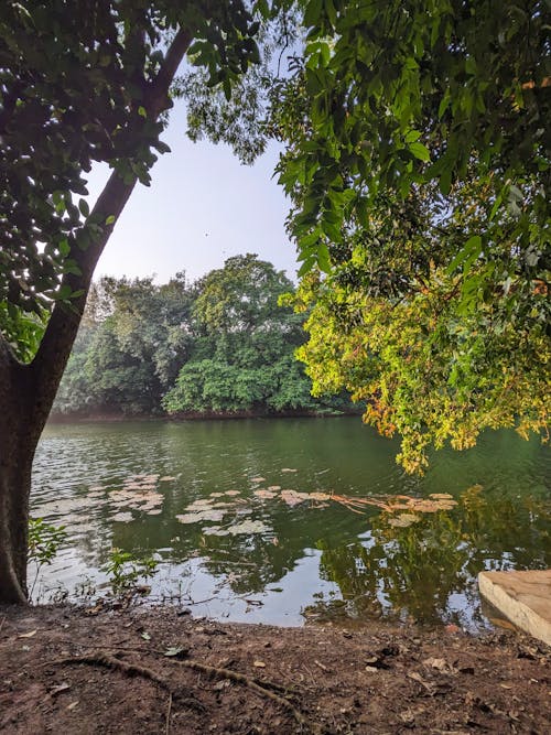 Fotobanka s bezplatnými fotkami na tému dynamické pozadia, estetická tapeta, estetická tapeta na plochu