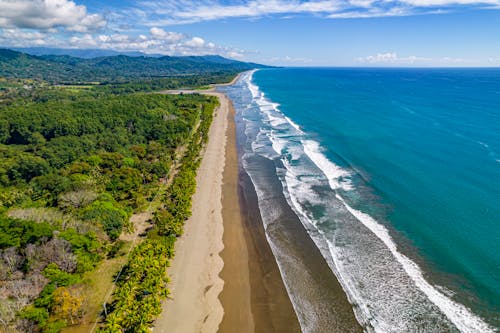 ağaçlar, dalgalar, deniz içeren Ücretsiz stok fotoğraf